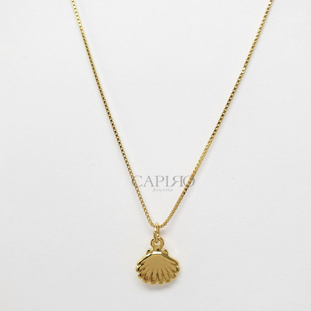 Collar conchita de mar